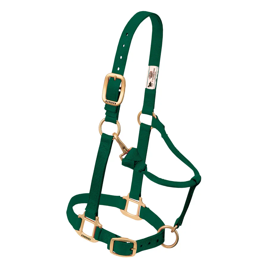 1" Nylon Adjustable Halter - Image 5