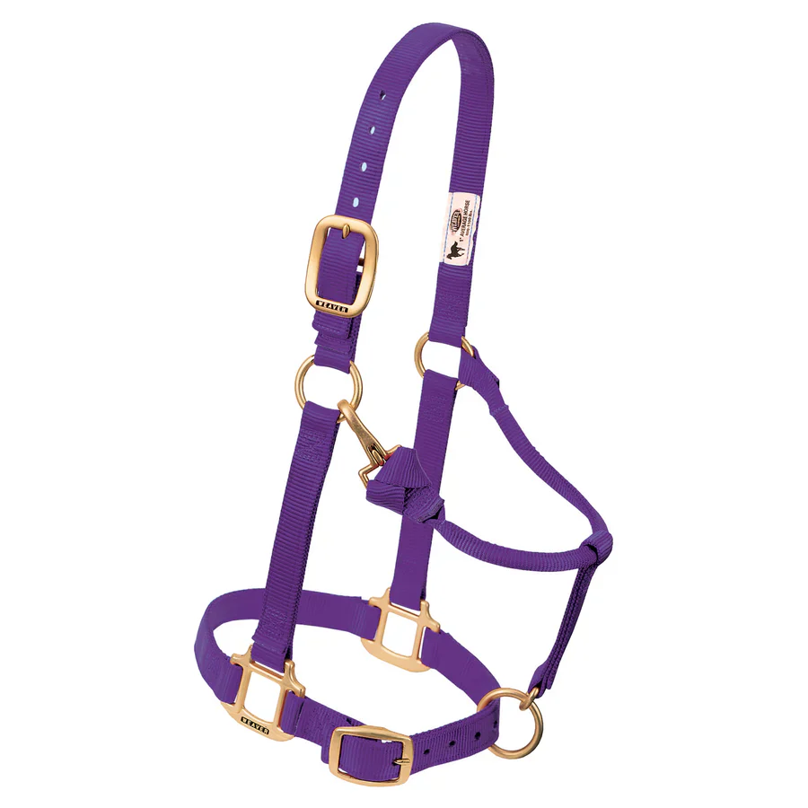 1" Nylon Adjustable Halter - Image 6