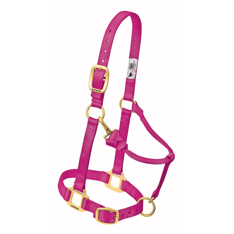 1" Nylon Adjustable Halter - Image 7