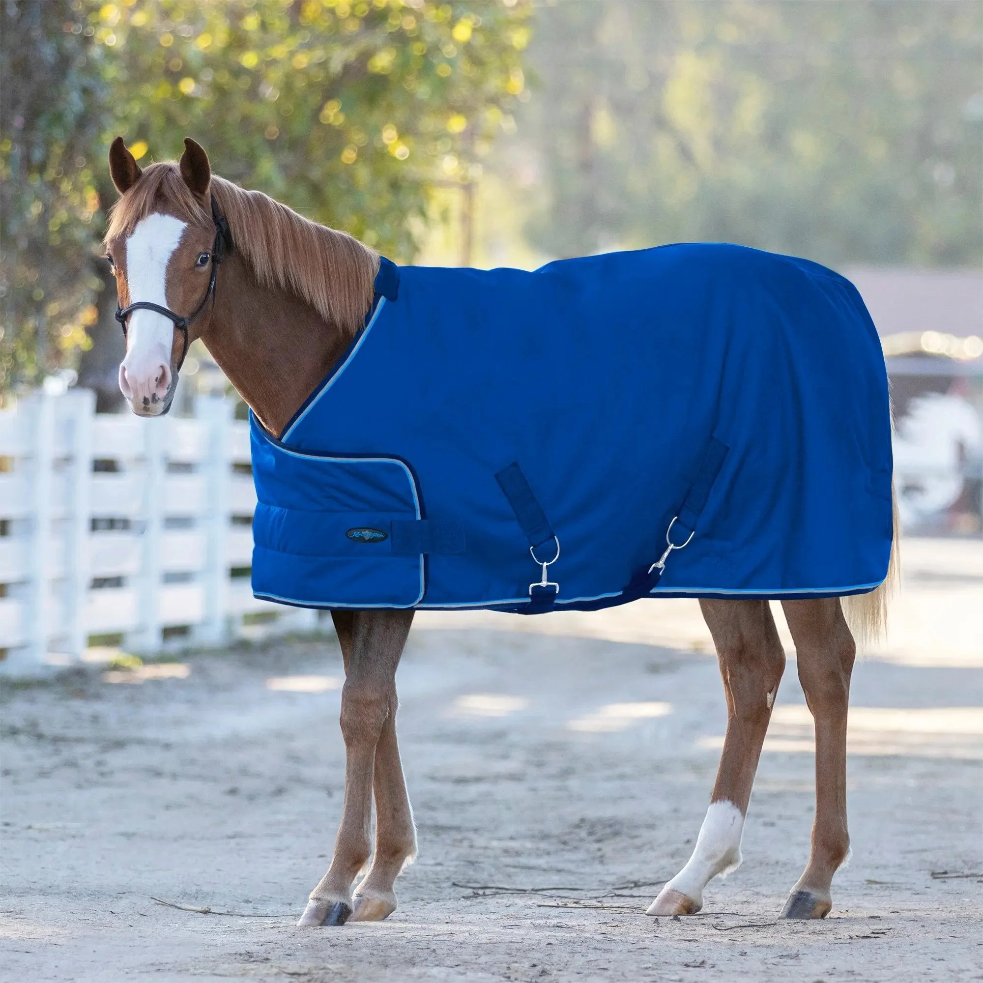 1200D 180G Medium Weight Waterproof & Breathable Adjustable Yearling Winter Turnout Blanket - Image 4