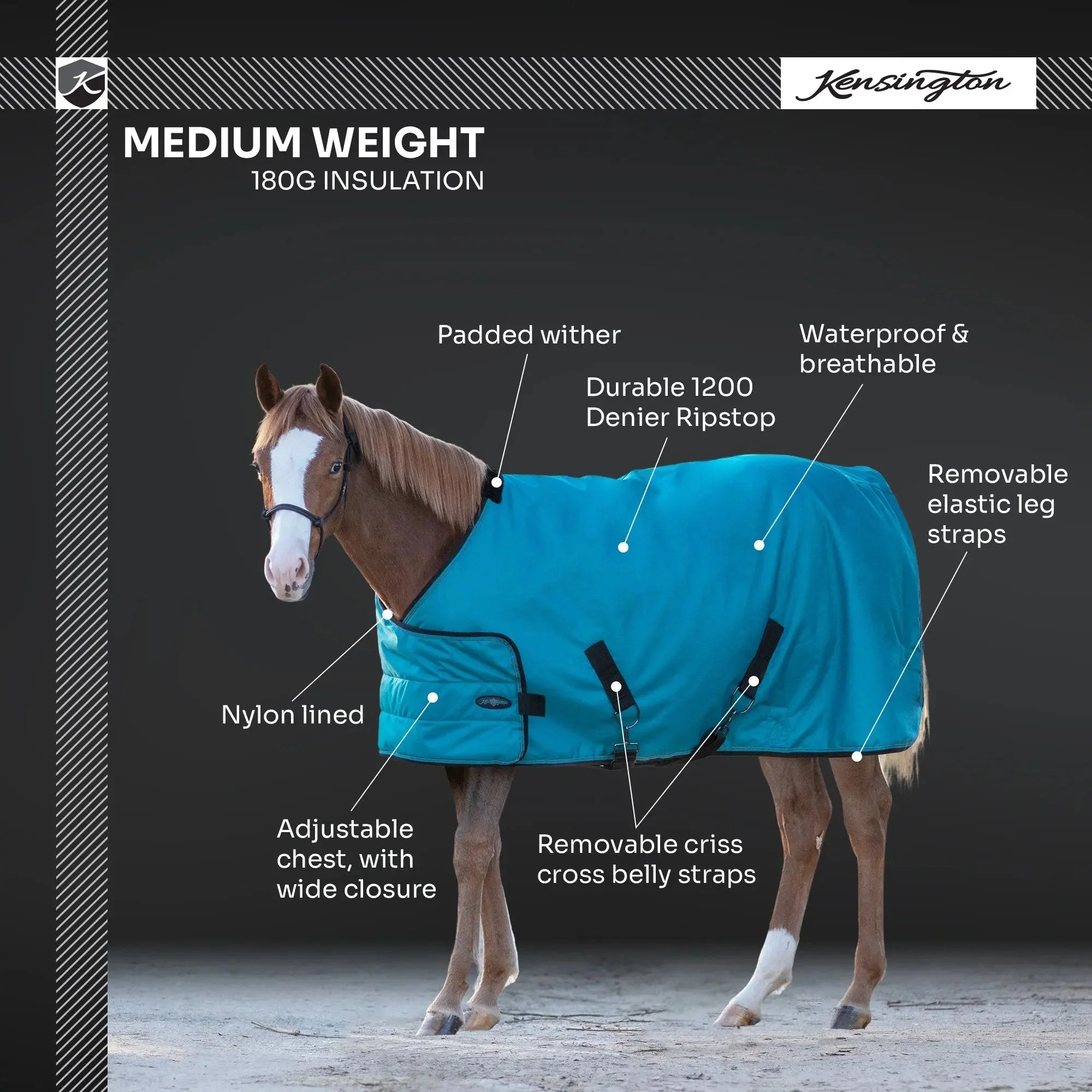 1200D 180G Medium Weight Waterproof & Breathable Adjustable Yearling Winter Turnout Blanket - Image 7