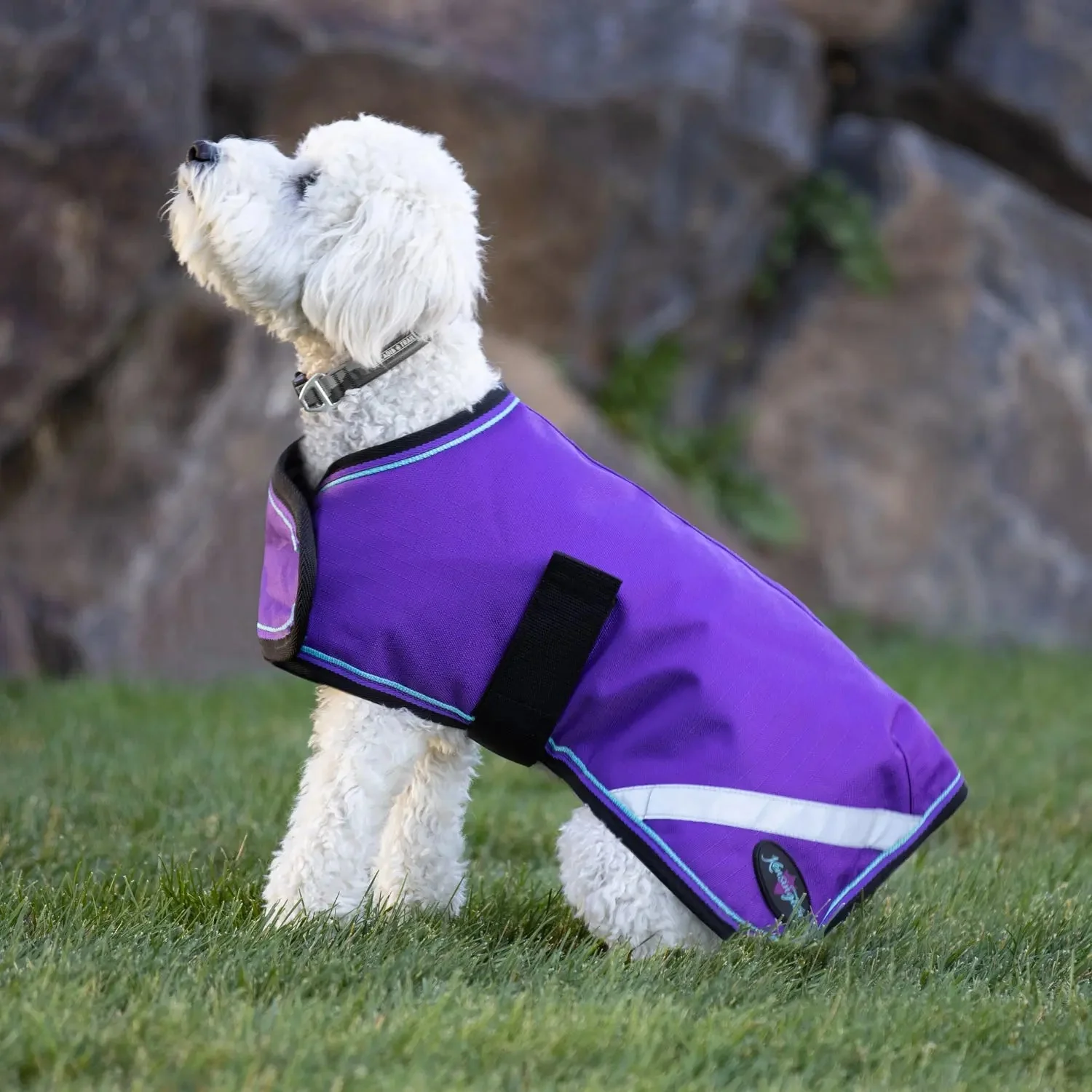 1200D 180G Medium Weight Waterproof & Breathable Dog Coat - Image 9