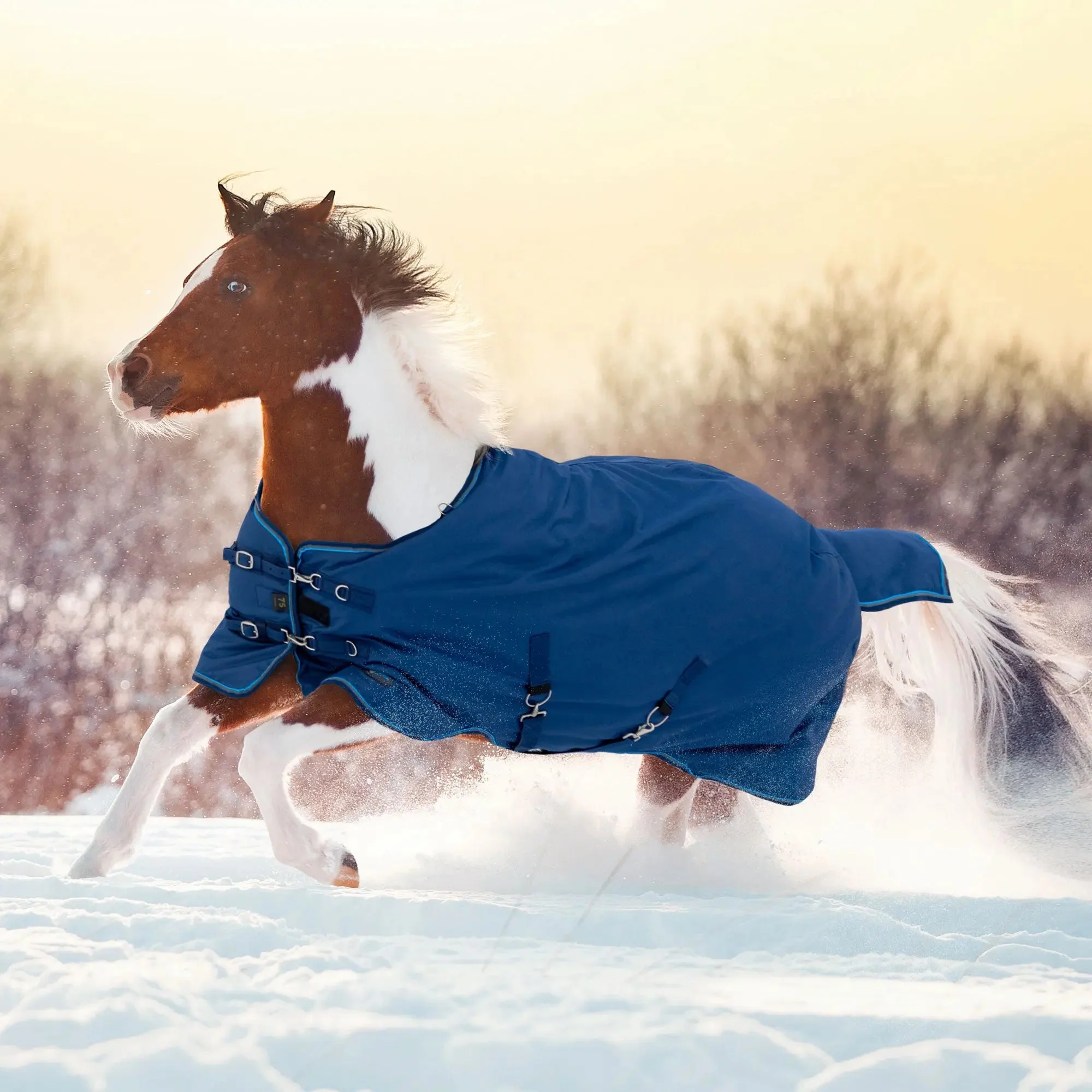 1200D 180G Medium Weight Waterproof & Breathable Pony Winter Turnout - Image 5