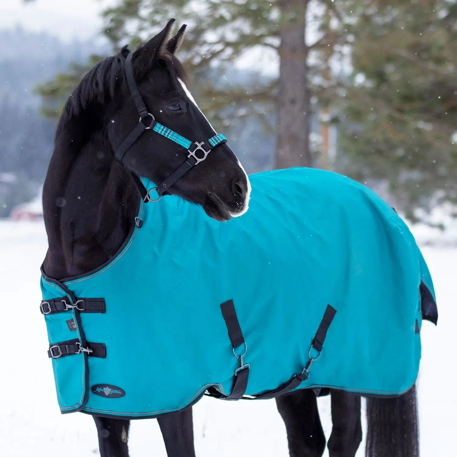 1200D 180G Medium Weight Waterproof & Breathable Winter Turnout Blanket - Image 2