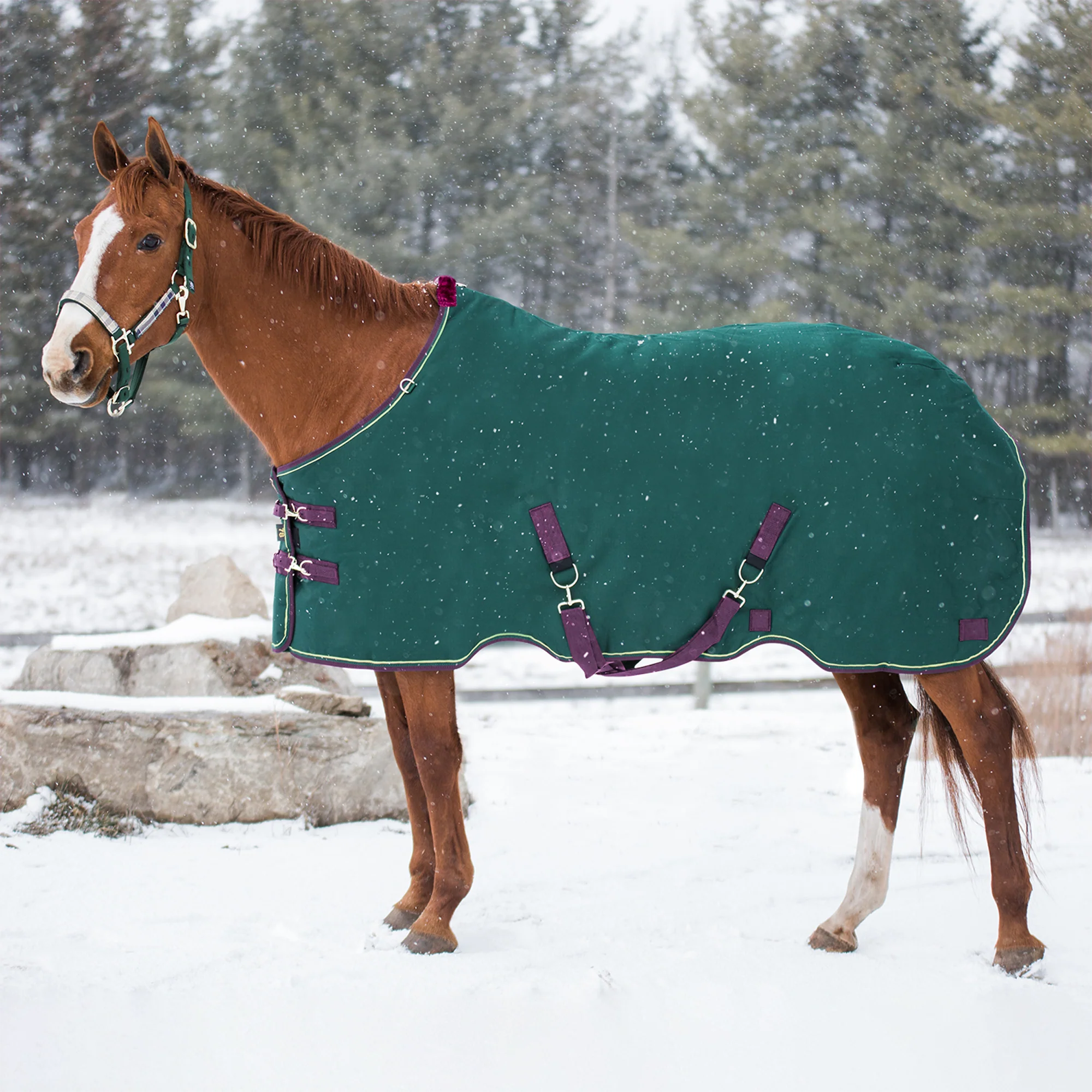 1200D 300G Heavy Weight Waterproof & Breathable Winter Turnout Blanket - Image 14
