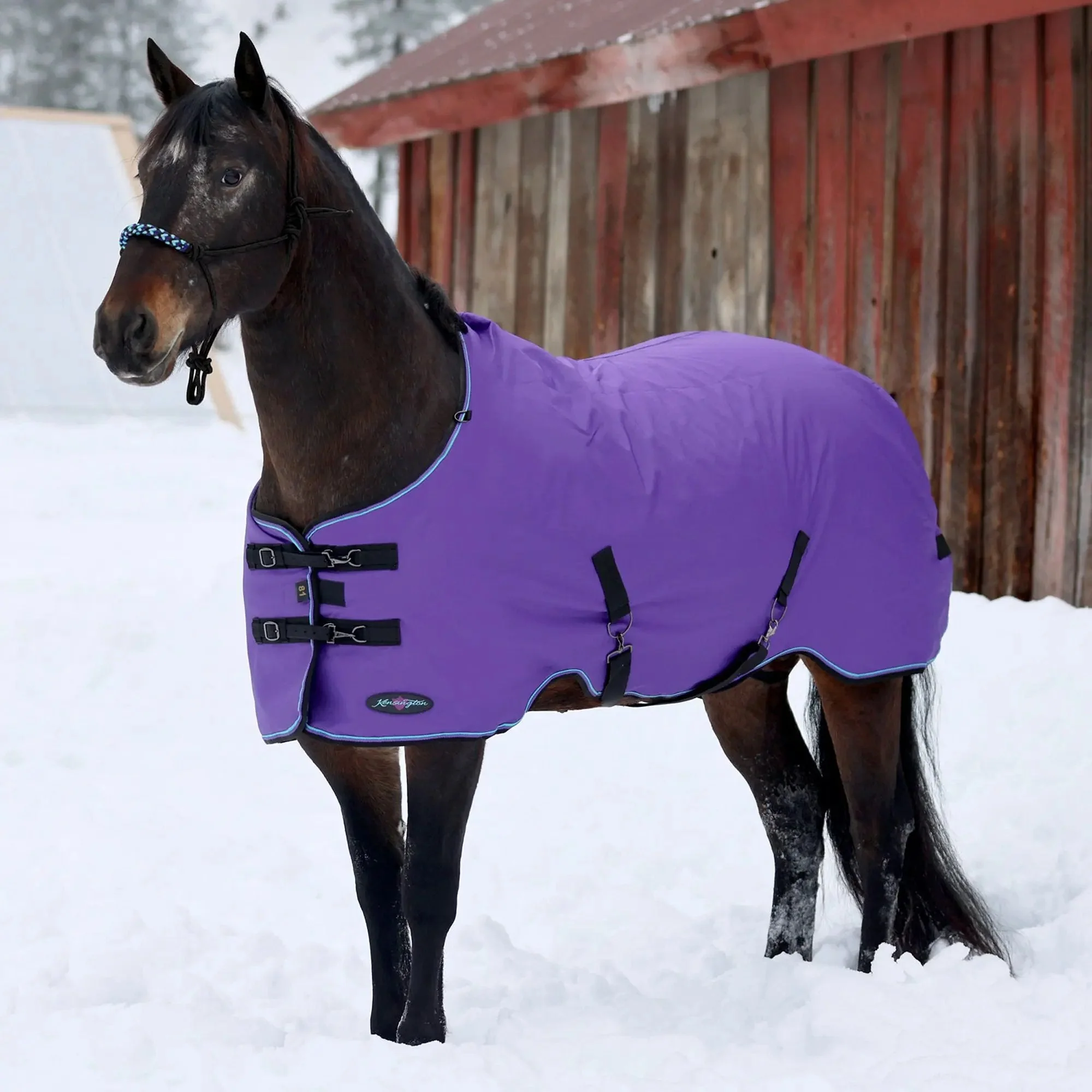 1200D 300G Heavy Weight Waterproof & Breathable Winter Turnout Blanket - Image 15