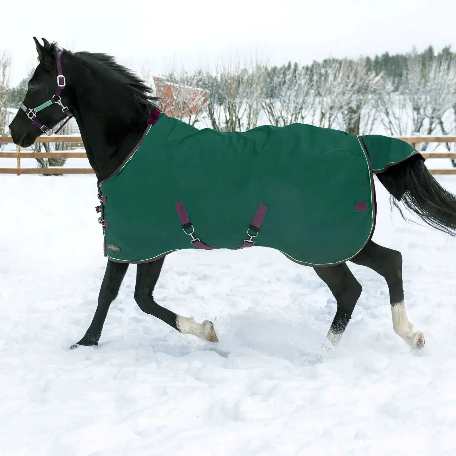 1200D 300G Heavy Weight Waterproof & Breathable Winter Turnout Blanket - Image 3