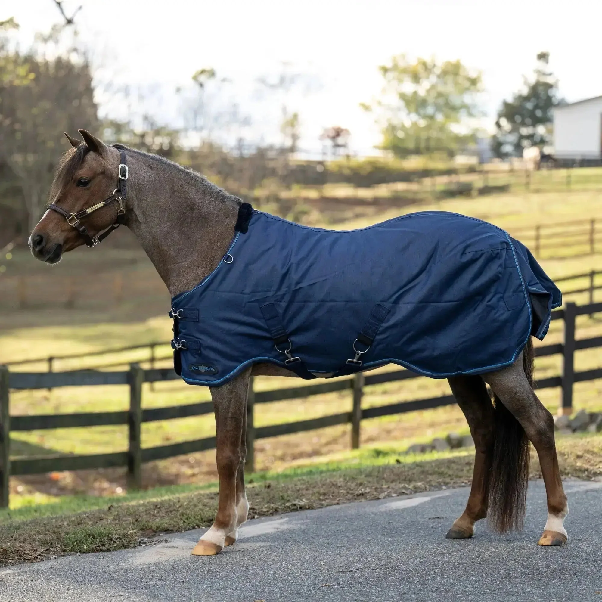 1200D 80G Light Weight Waterproof & Breathable Pony Winter Turnout - Image 4