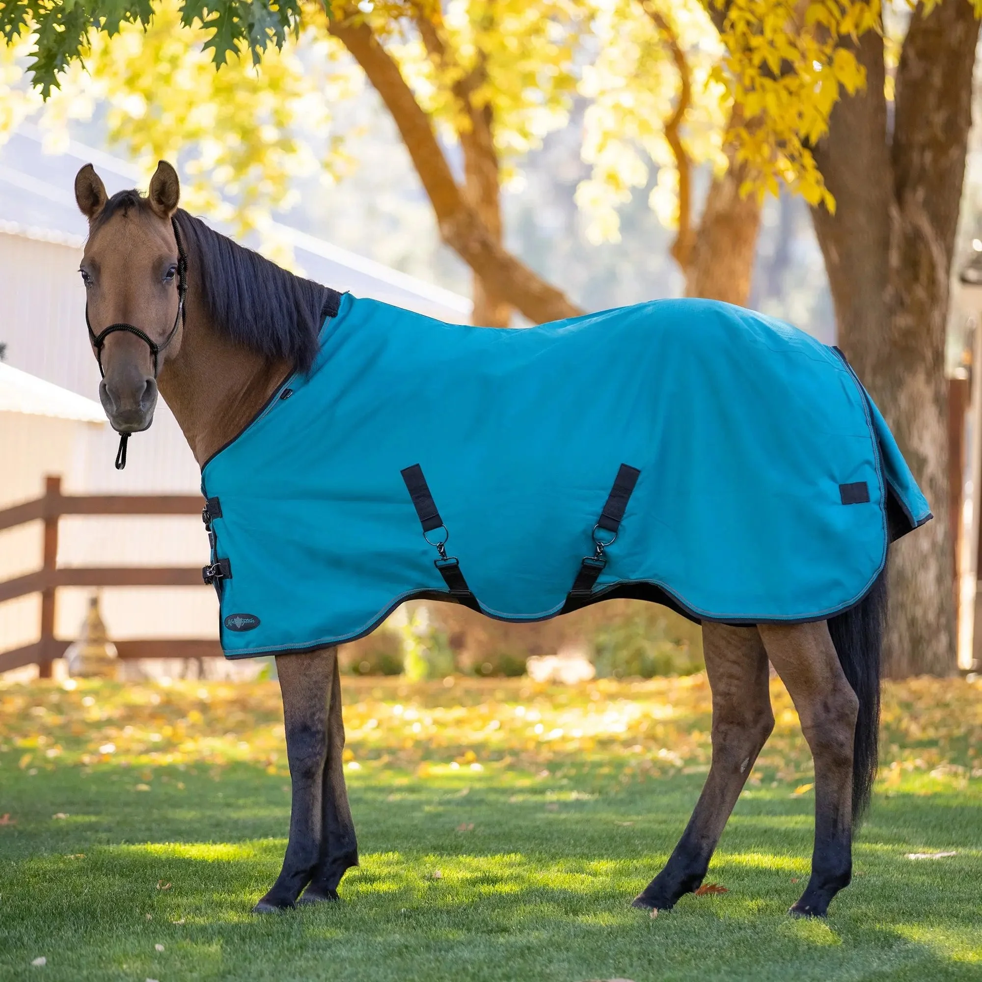 1200D 80G Light Weight Waterproof & Breathable Winter Turnout Blanket - Image 4