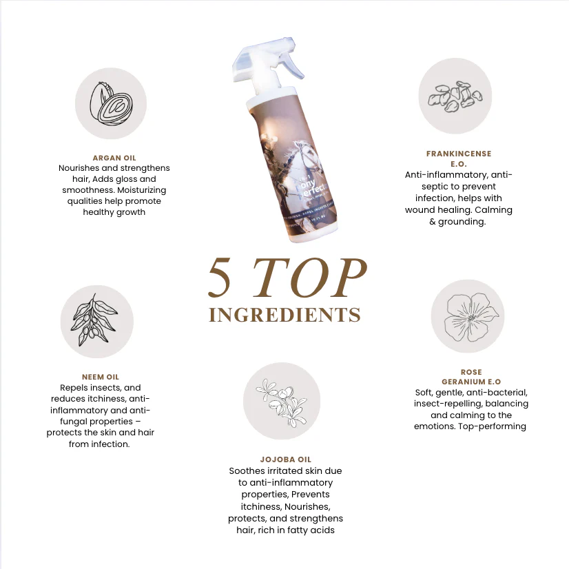 3-in-1 Pony Perfector Leave-in Remedy - Image 9