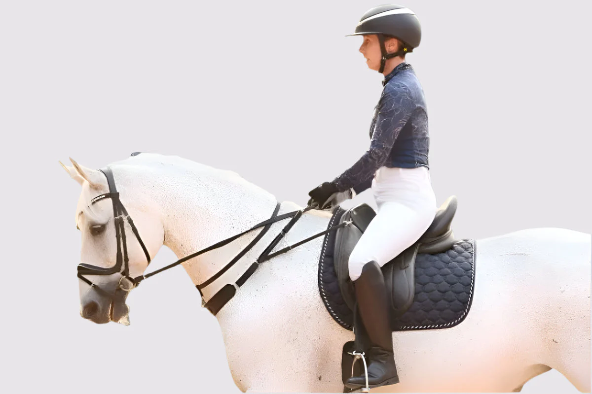 3-in-1 Training Breastplate - Image 2