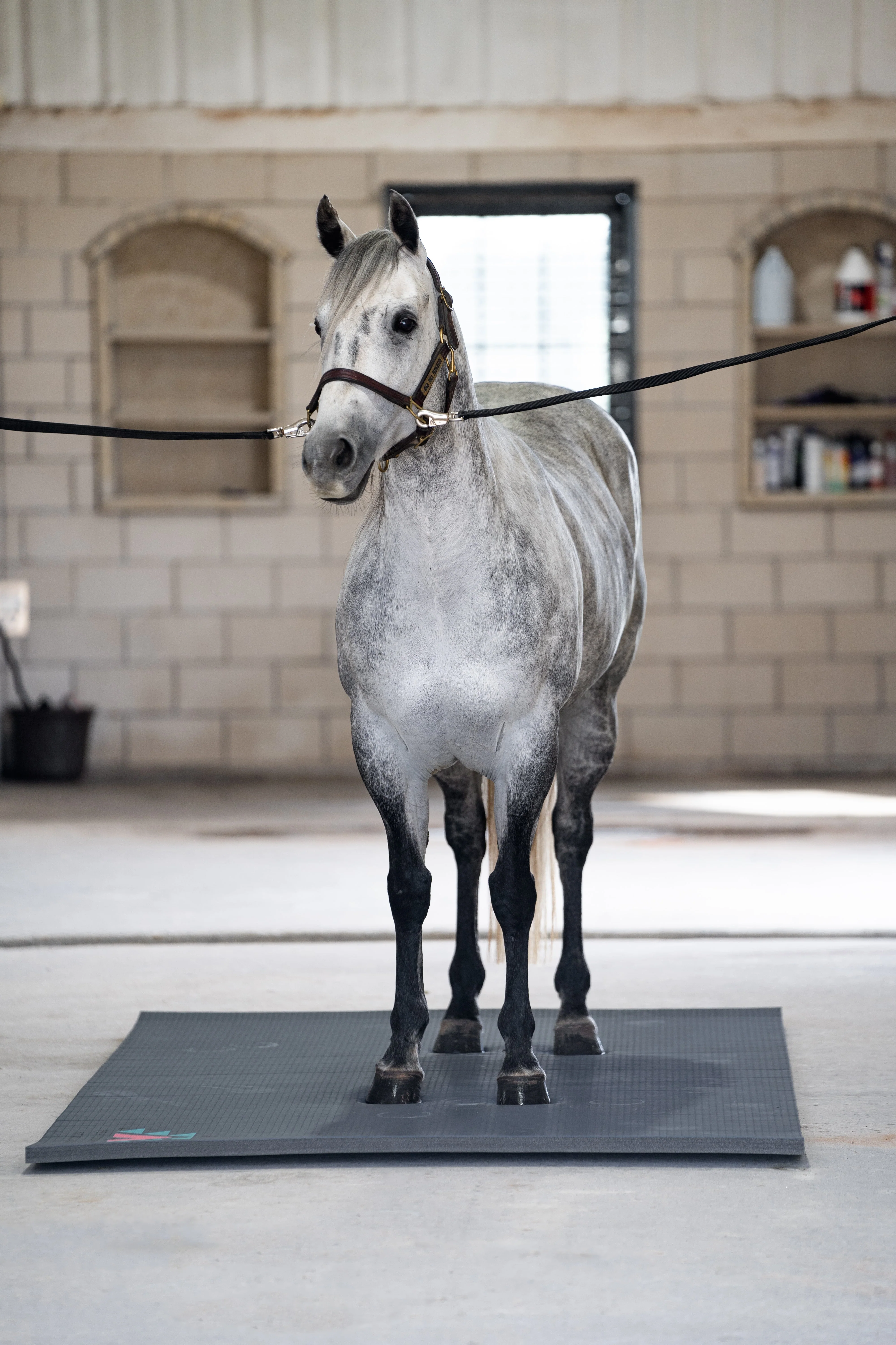 5x10ft Black Stall Mat - Image 4