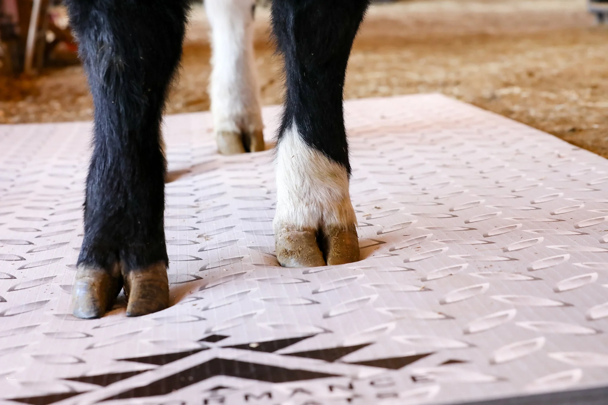 5x10ft Diamond Plate Print Mat - Image 2