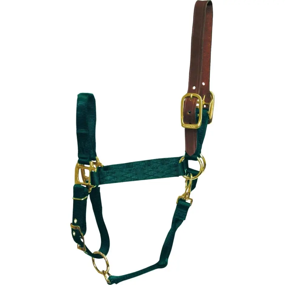 Adjustable Horse Halter With Leather Headpole - Image 10