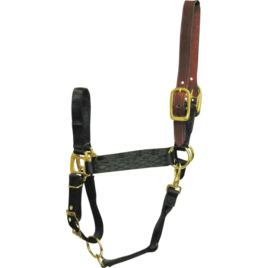 Adjustable Horse Halter With Leather Headpole - Image 13