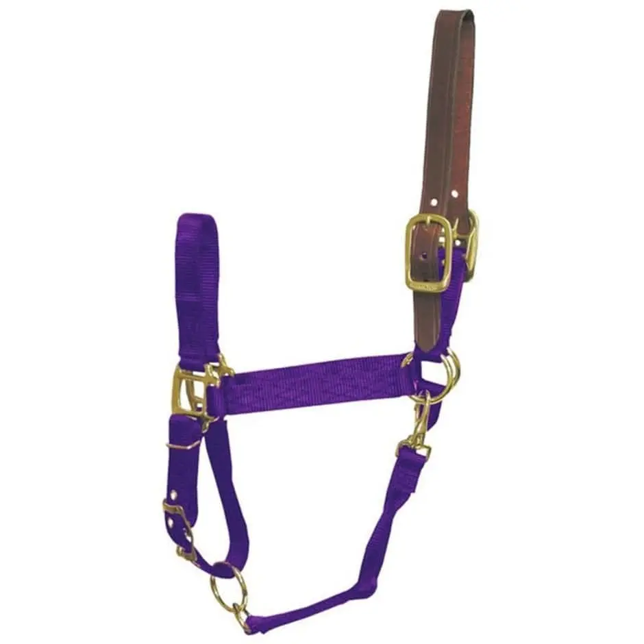 Adjustable Horse Halter With Leather Headpole - Image 20