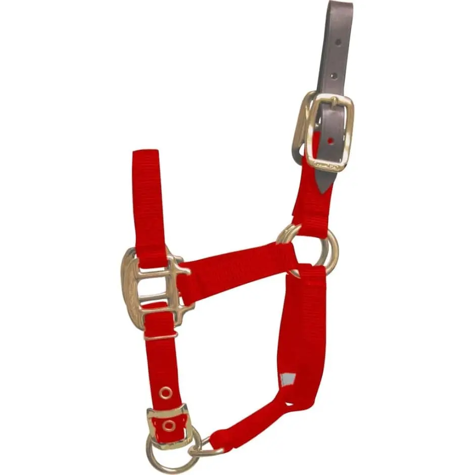 Adjustable Horse Halter With Leather Headpole - Image 3