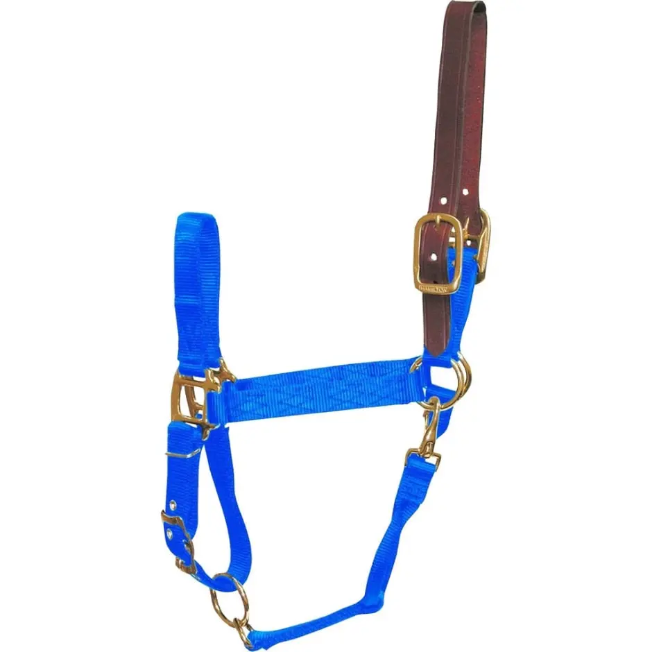 Adjustable Horse Halter With Leather Headpole - Image 6