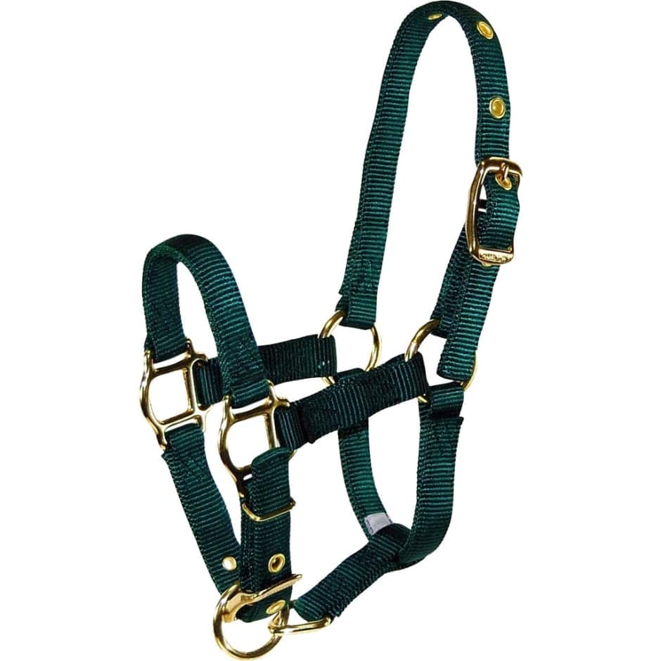 Adjustable Miniature Horse Halter