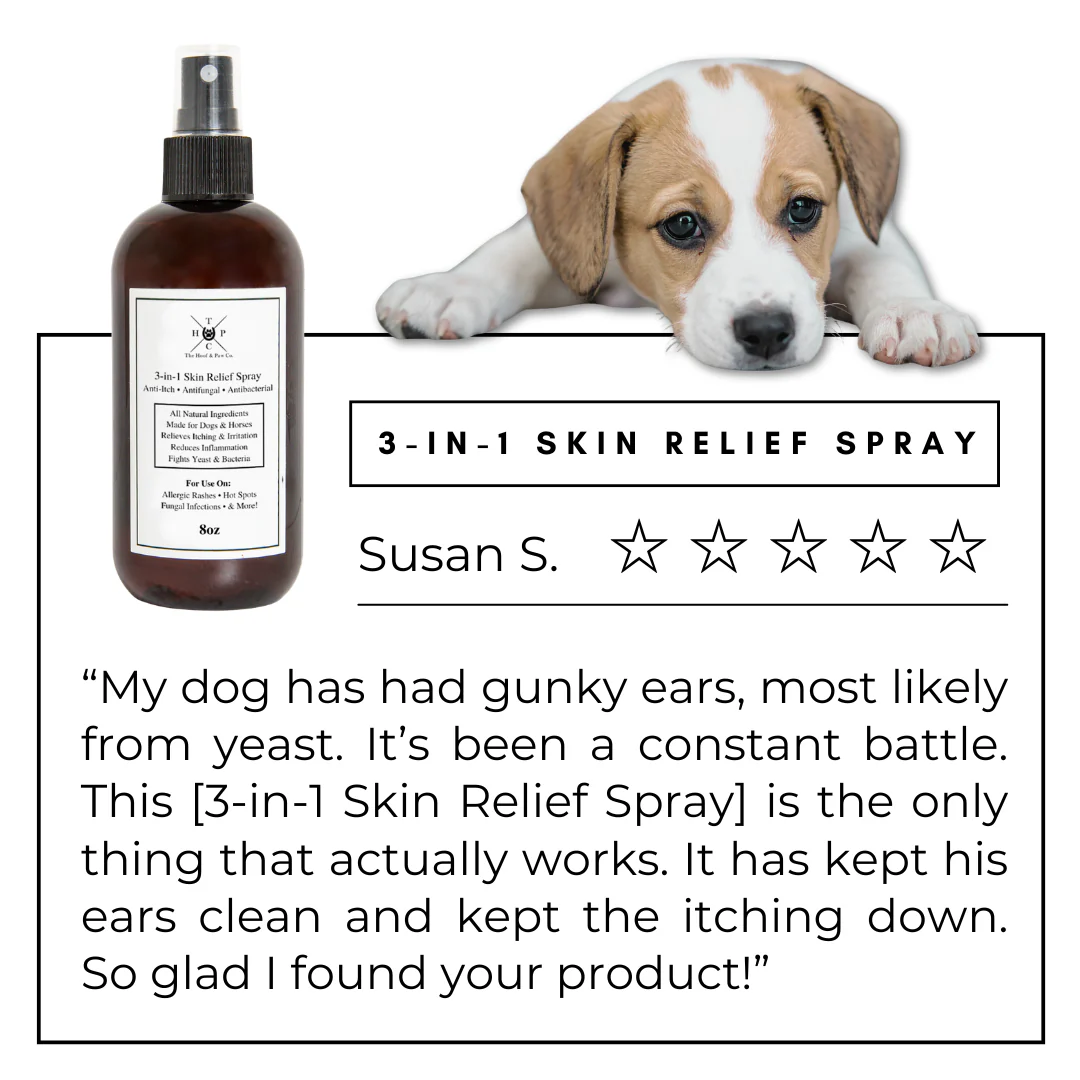 All Natural 3-in-1 Skin Relief Spray - for Dogs & Horses (8oz or 16oz) - Image 4