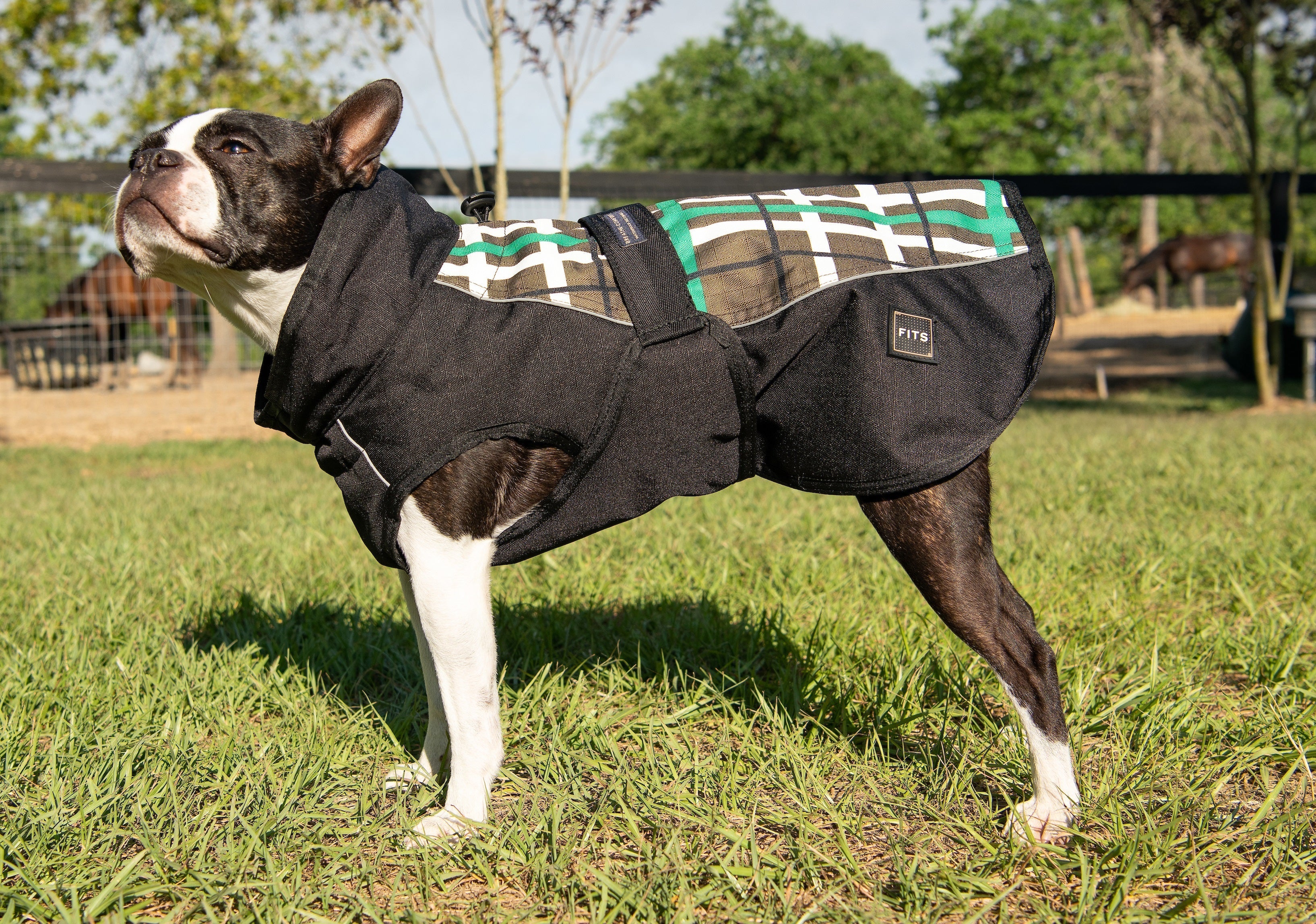 All Weather Dog Coat - Image 6