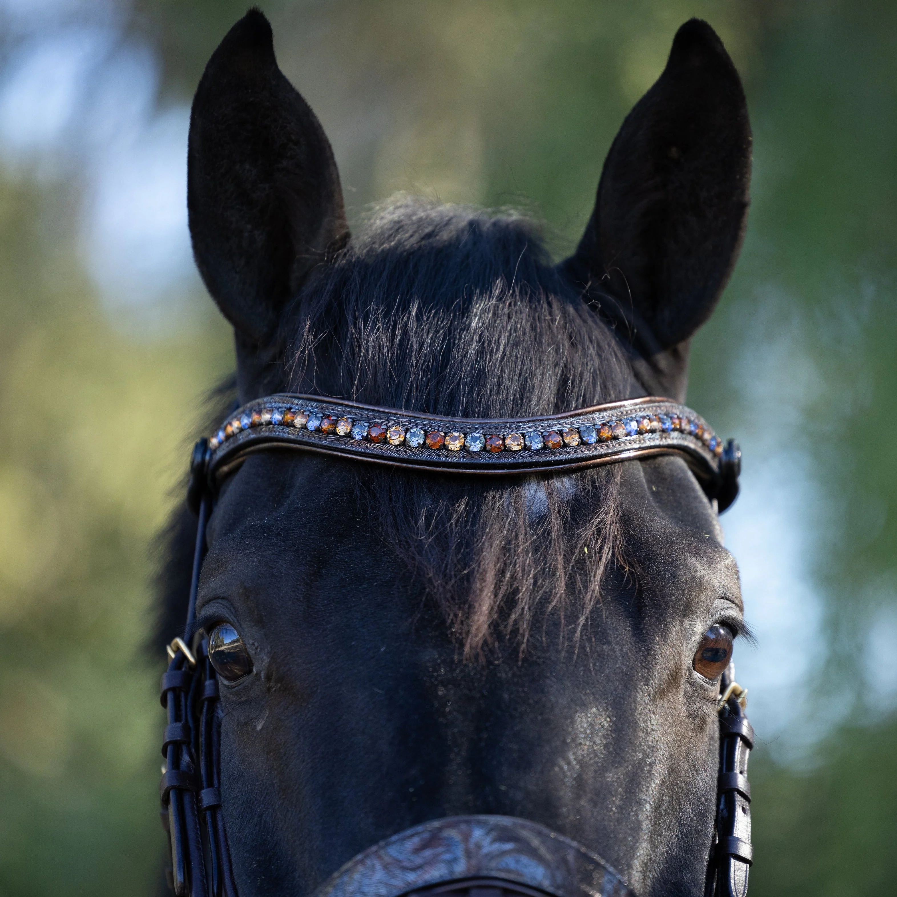 Aspen Leather Snaffle Bridle with Removable Flash - Image 6