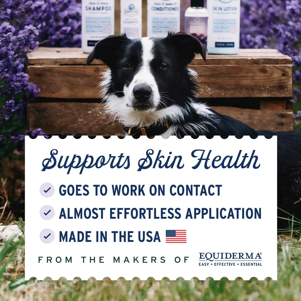 Barn Dog Skin Lotion - Image 5