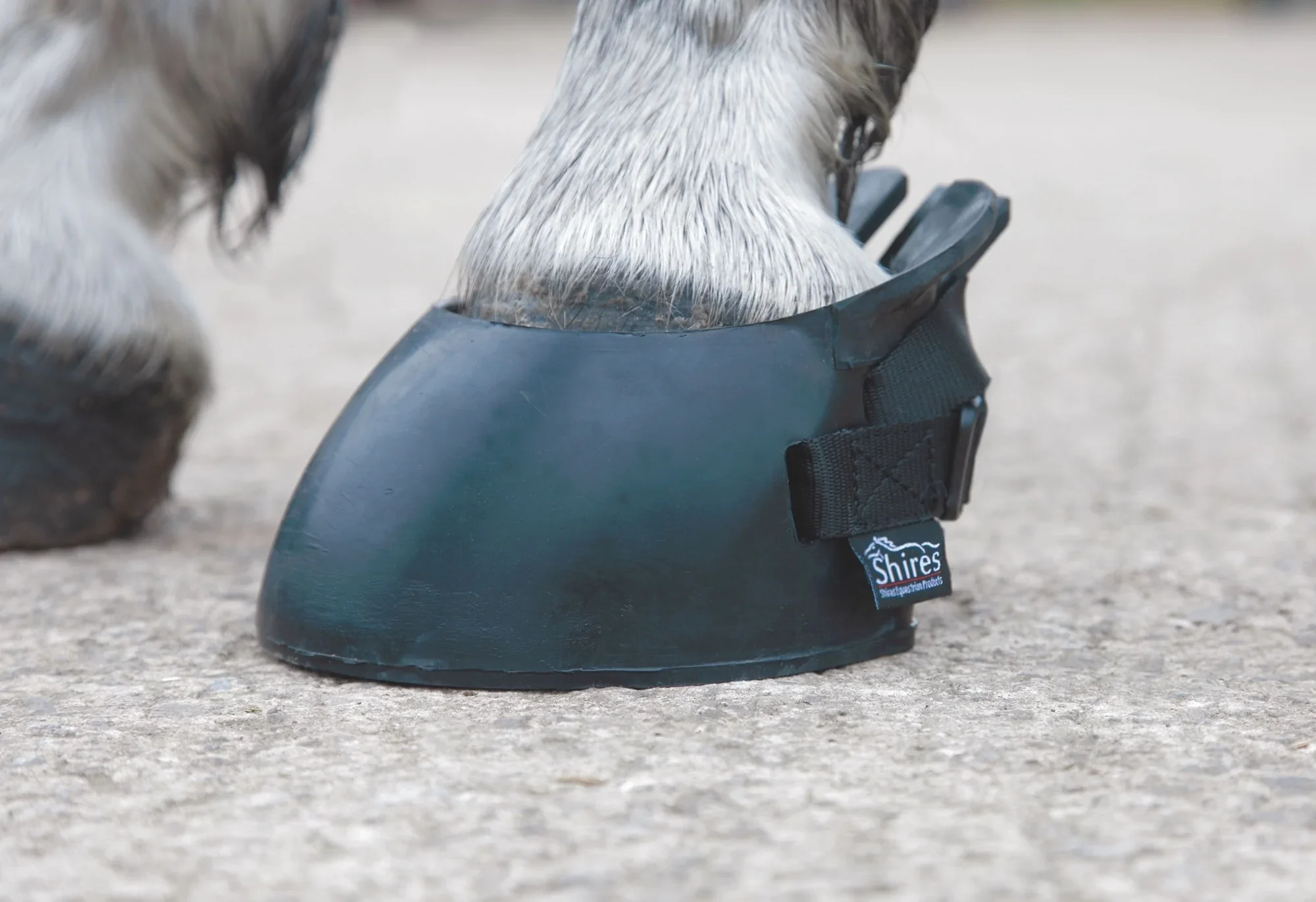 Barrier Boot