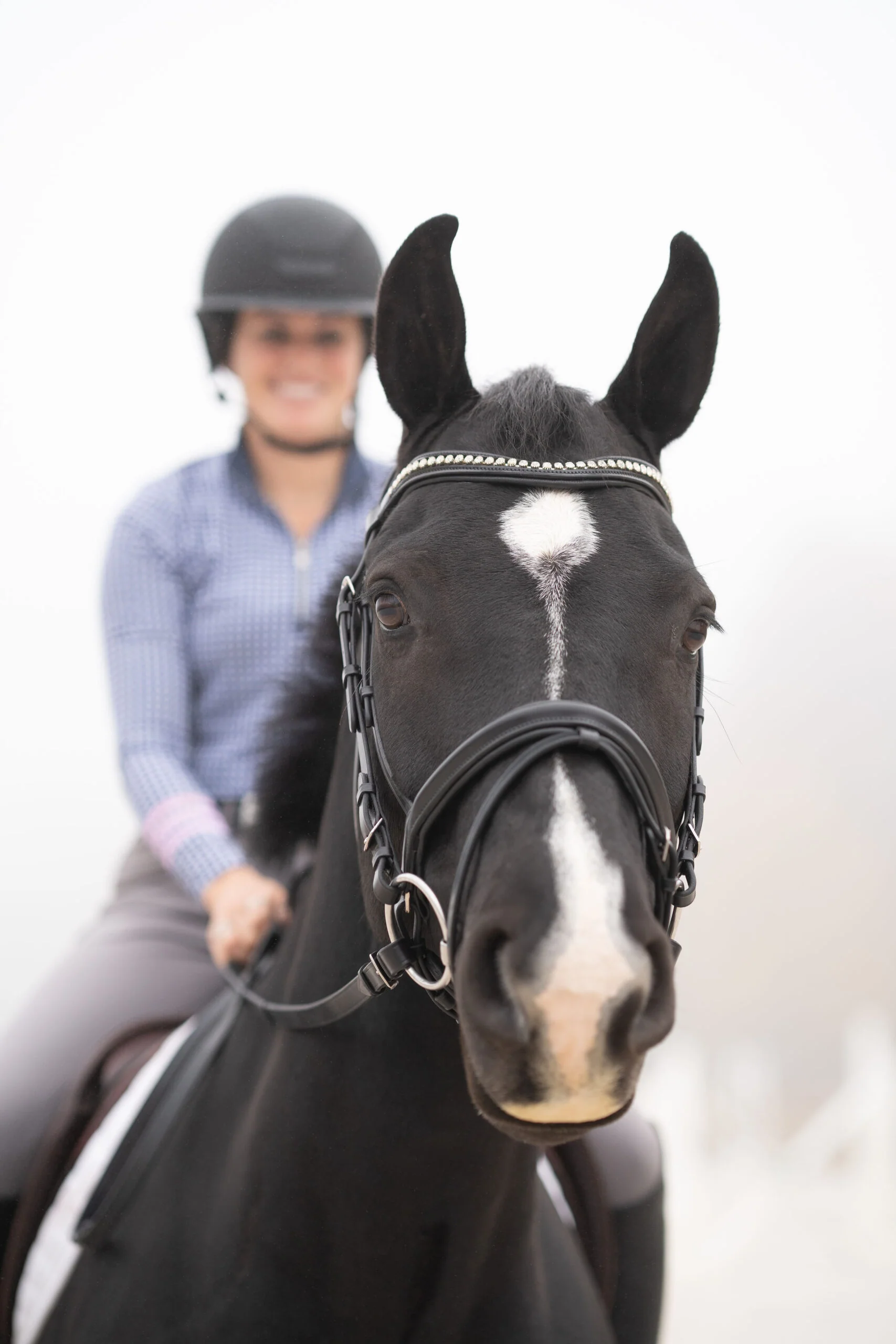 Black Oak Magnolia Dressage Bridle - Image 3
