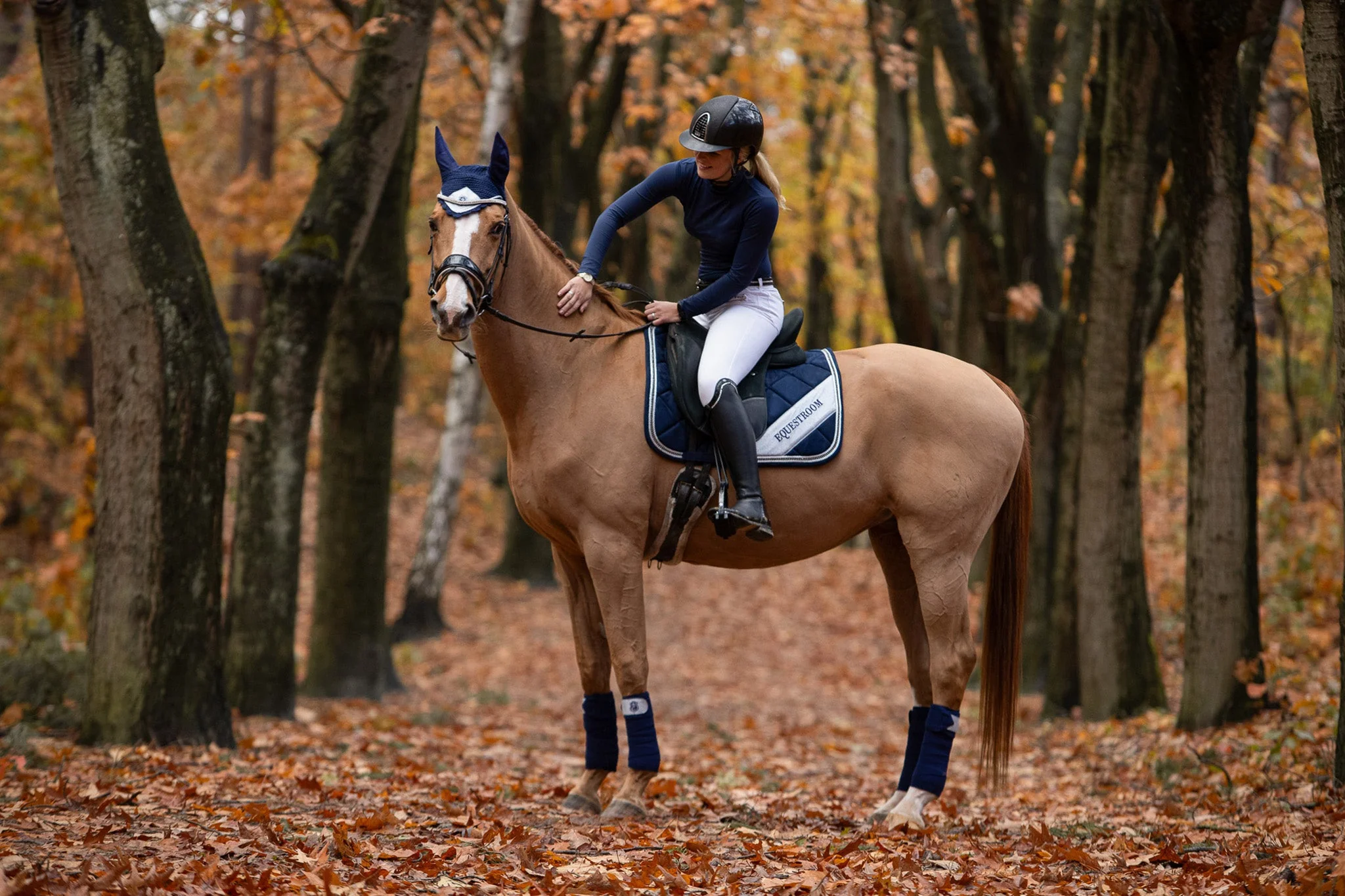 Blue Astra Saddle Pad - Image 5