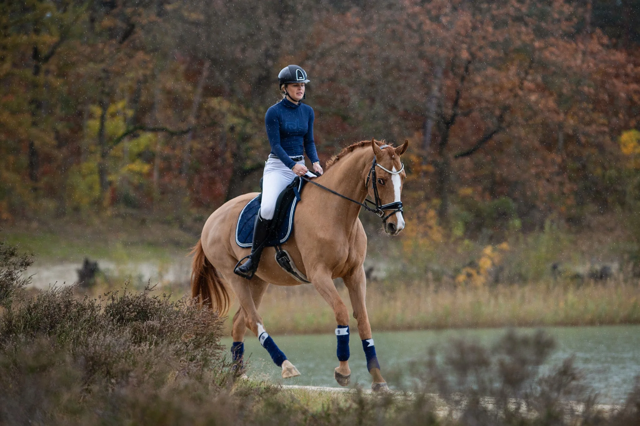 Blue Astra Saddle Pad - Image 8