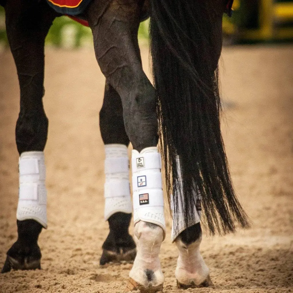Boyd Martin Series Eventing 4 Pack - (Fronts and Hinds) - Image 4