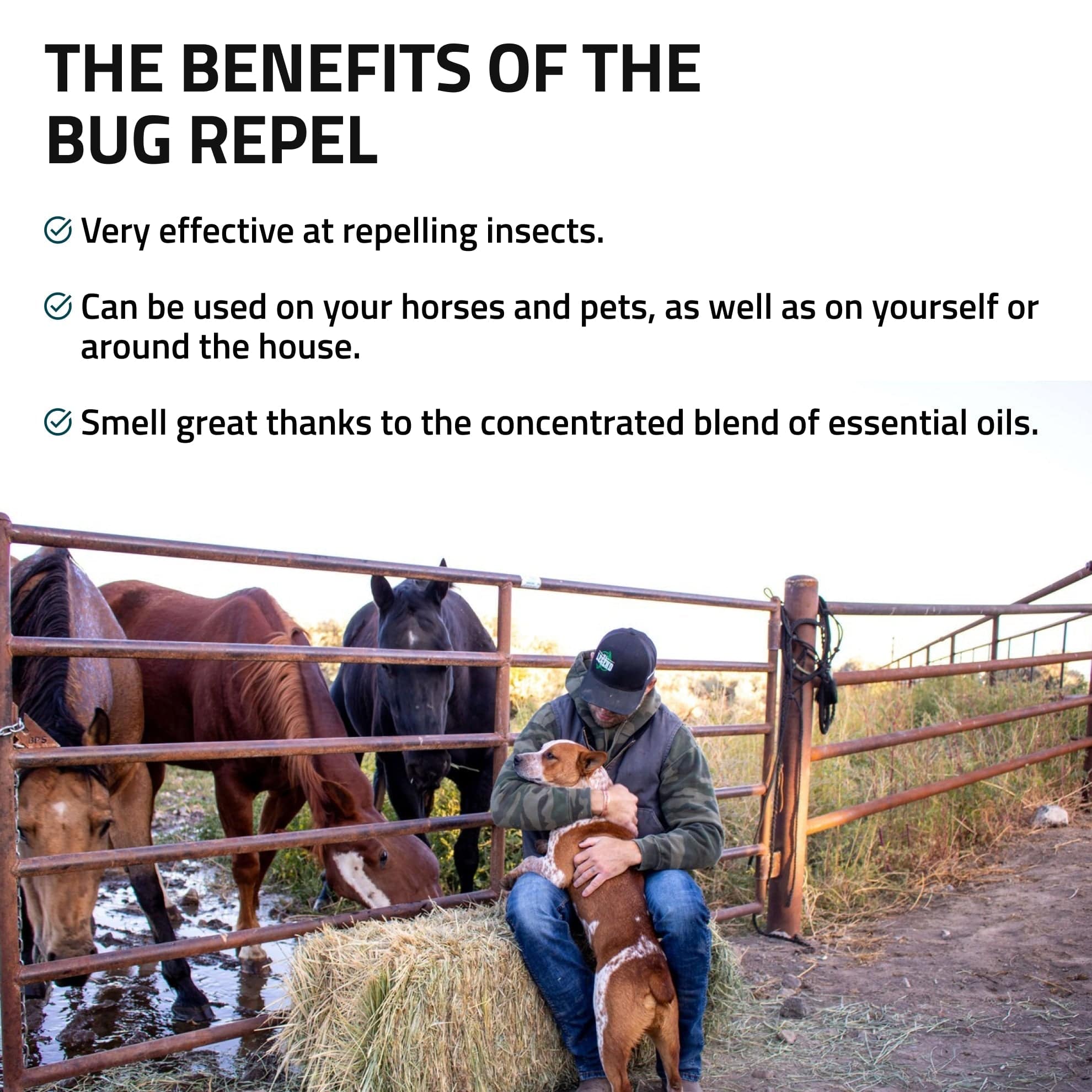 Bug Repel - Image 4