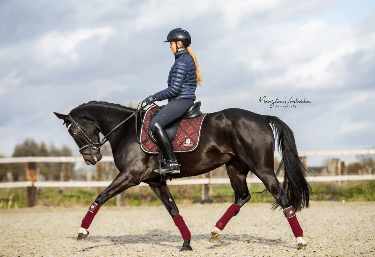 Burgundy Saddle Pad Set - Image 7