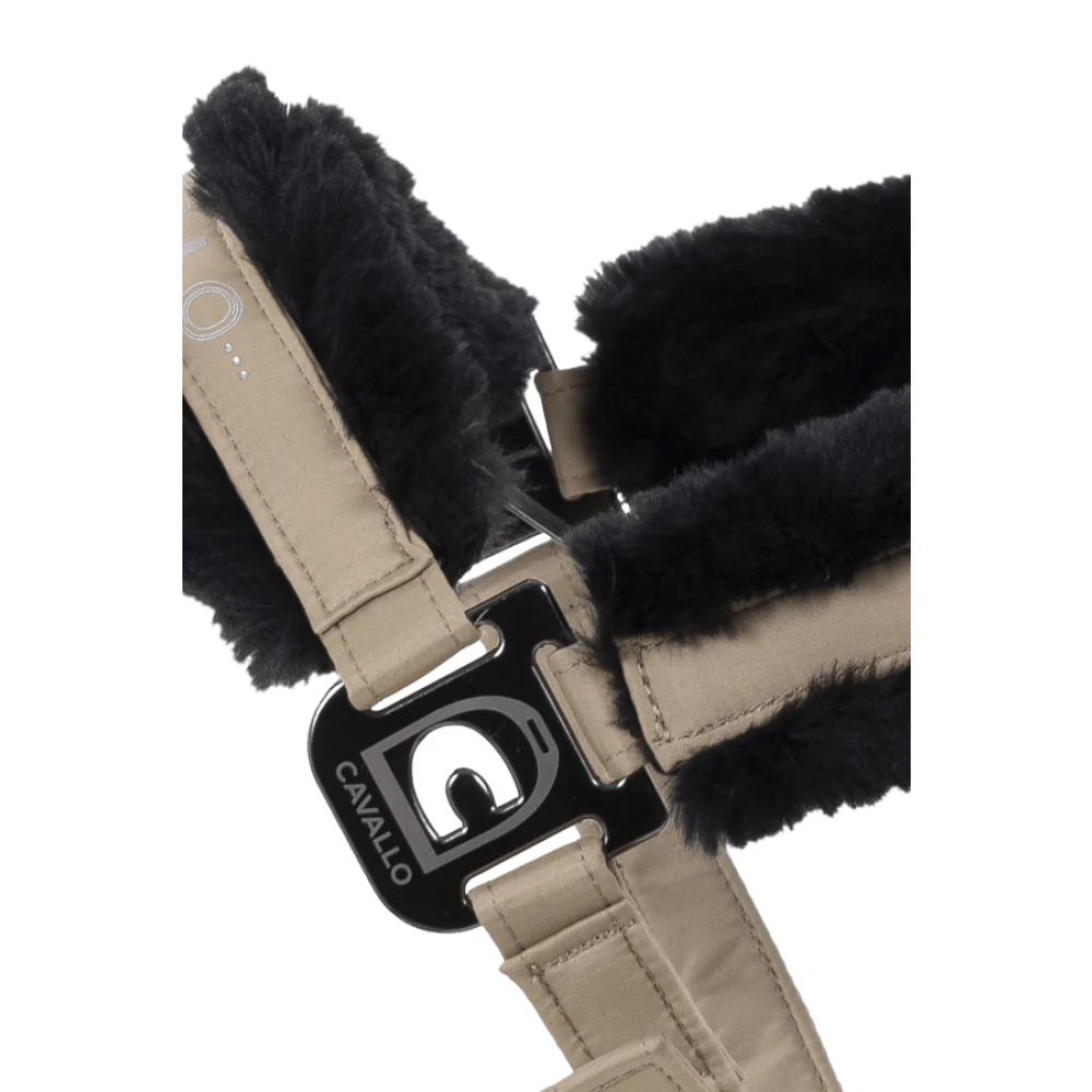 Cavallo Hafida Fleece Padded Halter - Image 4