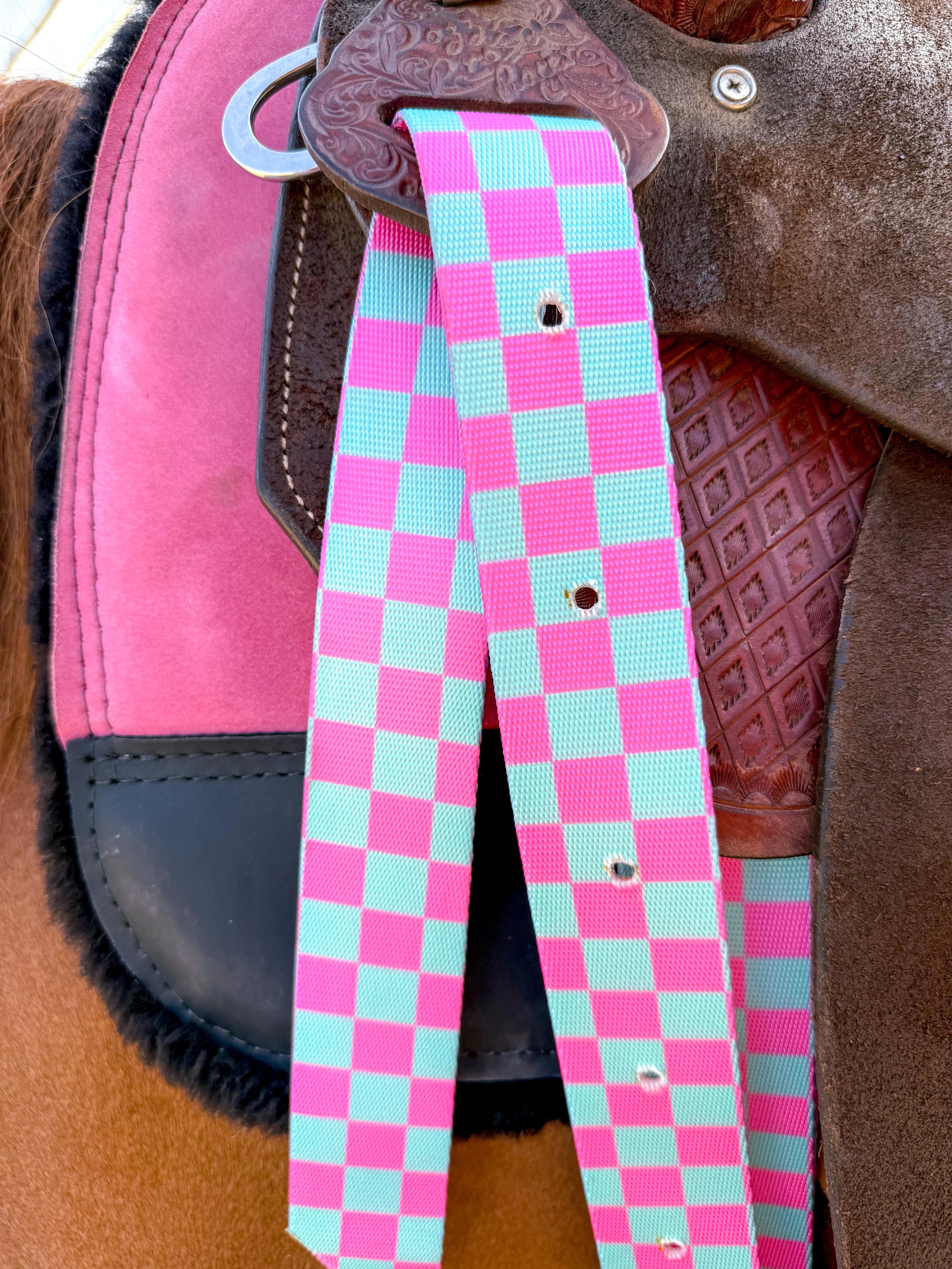 Checks Out (Pink/Turquoise) Cinch Strap Set - Image 3