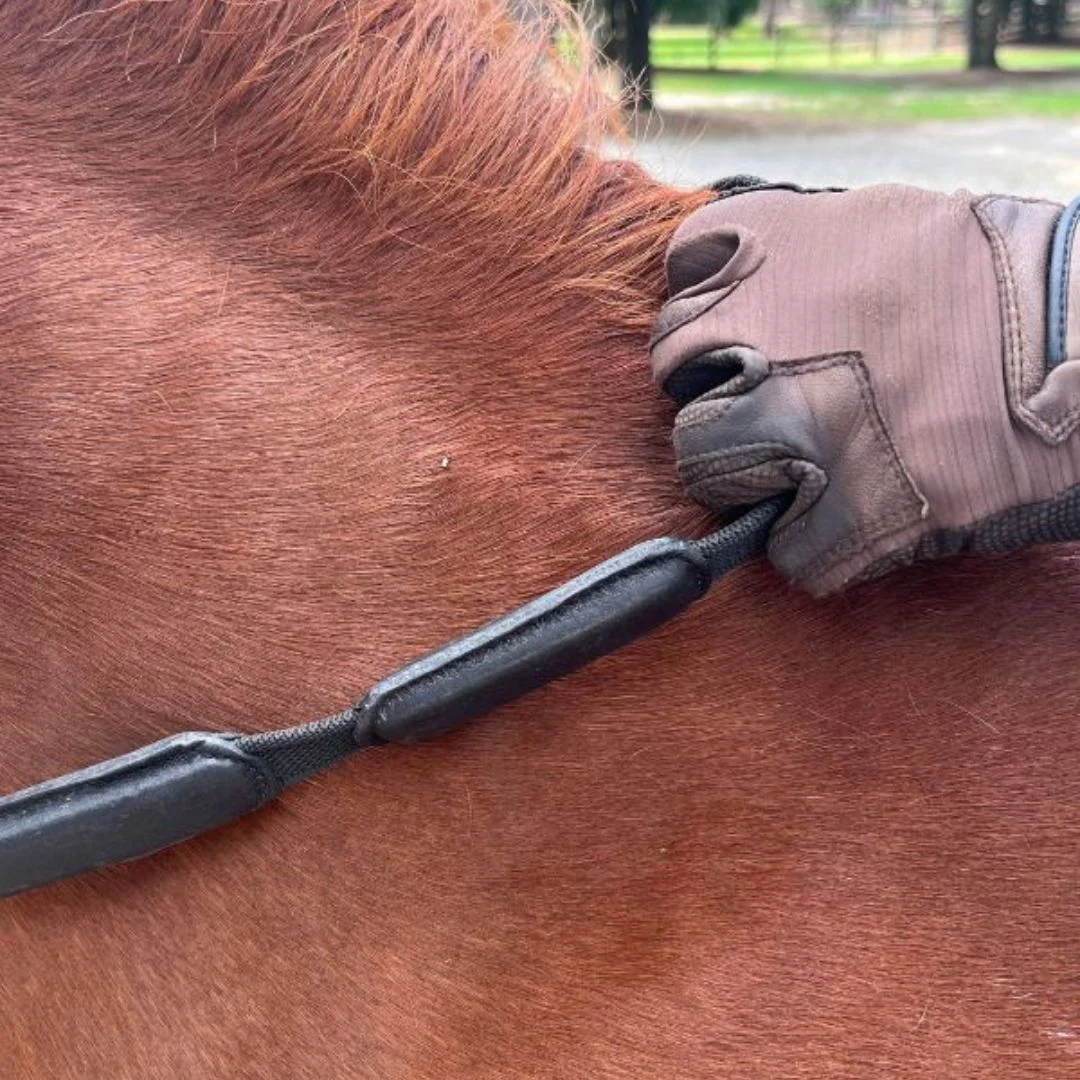 Comfort Connect Rein - Intermittent Padding for Equal Rein Length and Hand Support - Image 6