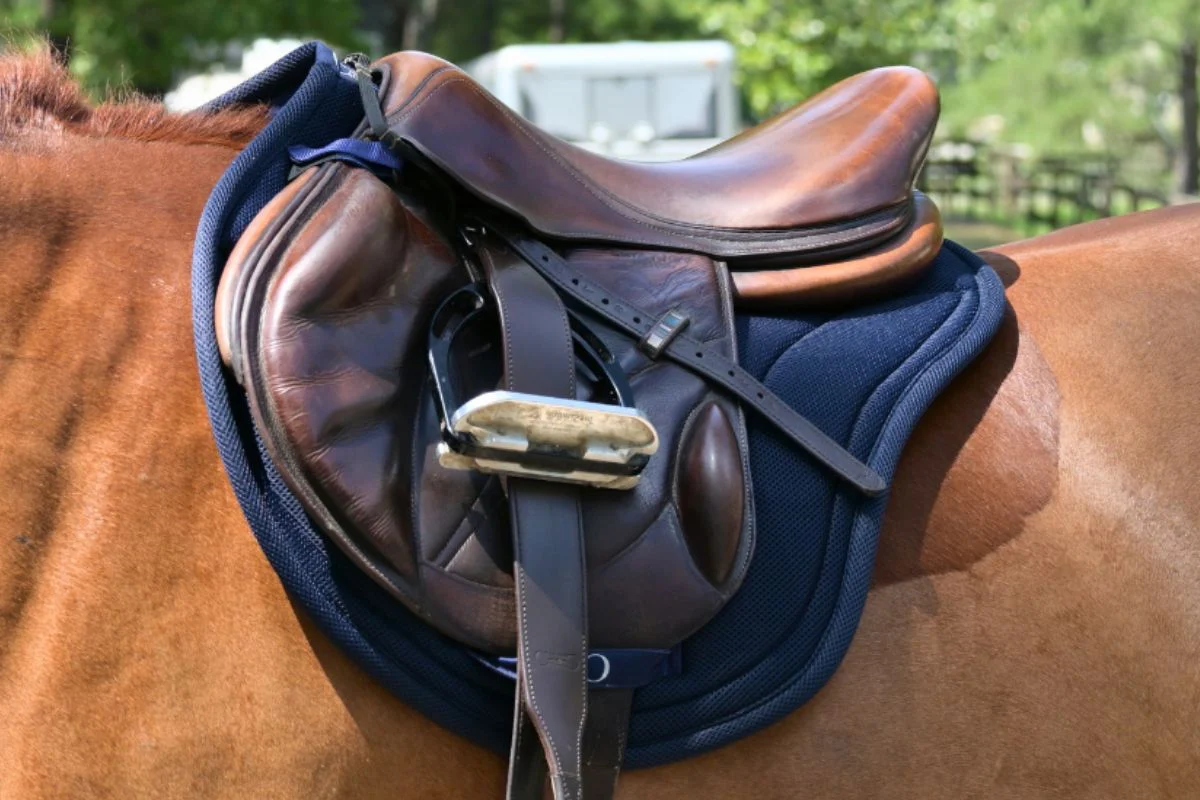 Contour Jump Mesh Saddle Pad with Quick Dry Cotton Lining in Navy, White or Black - Image 10
