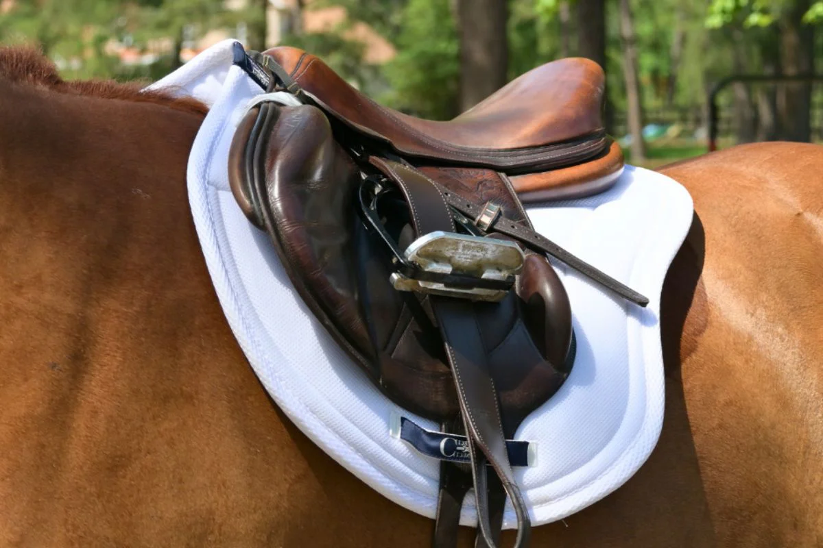 Contour Jump Mesh Saddle Pad with Quick Dry Cotton Lining in Navy, White or Black - Image 3