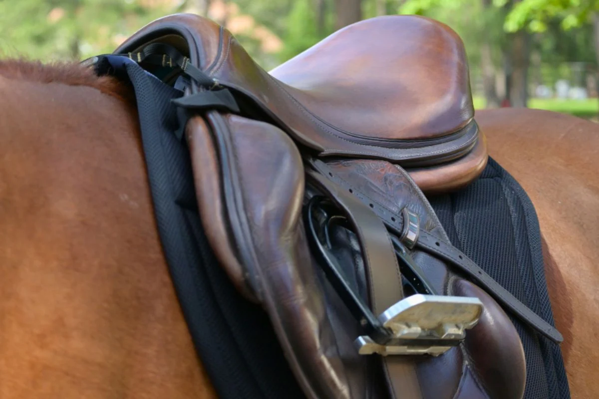 Contour Jump Mesh Saddle Pad with Quick Dry Cotton Lining in Navy, White or Black - Image 7
