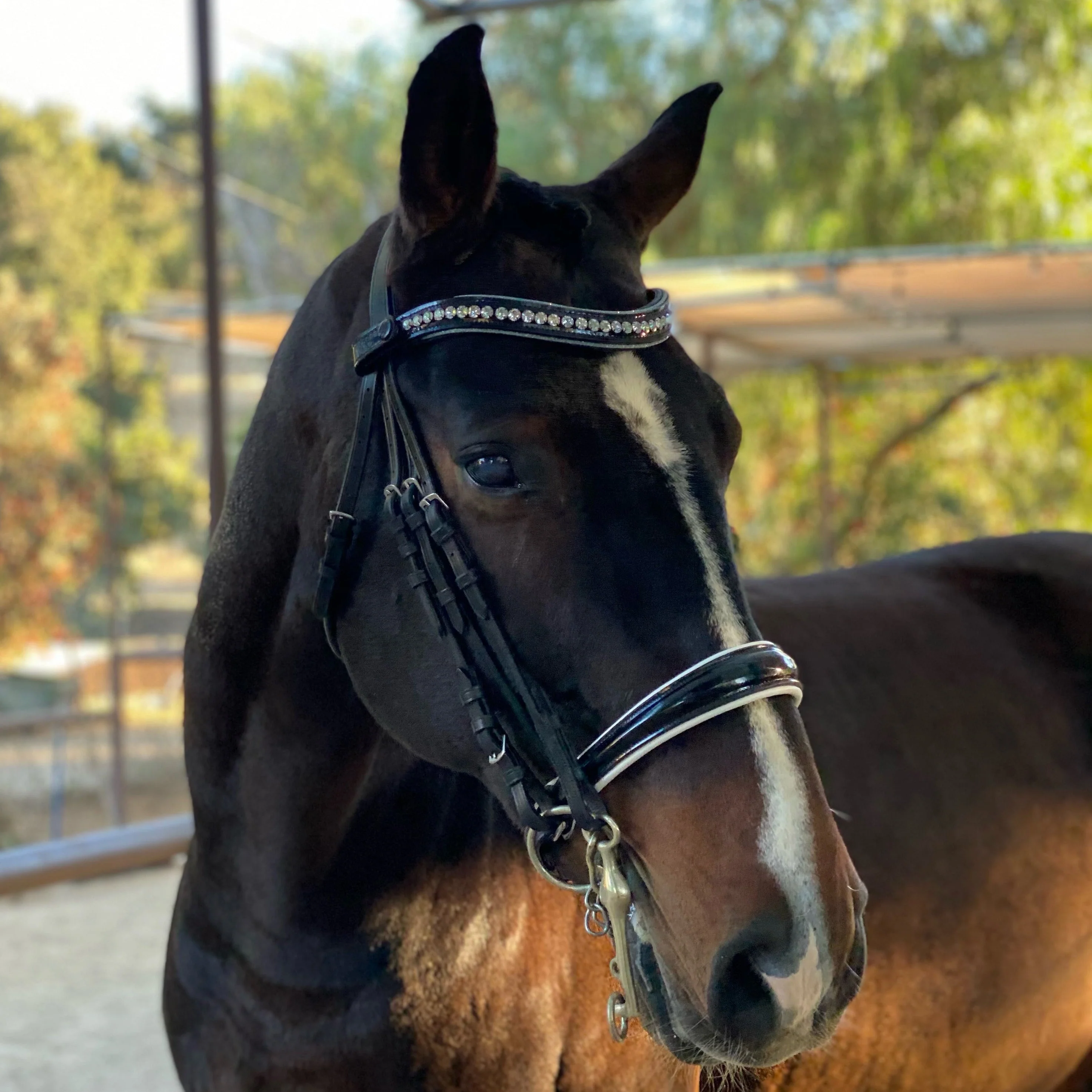 Crystal Patent Browband - Blue Frost - Image 2