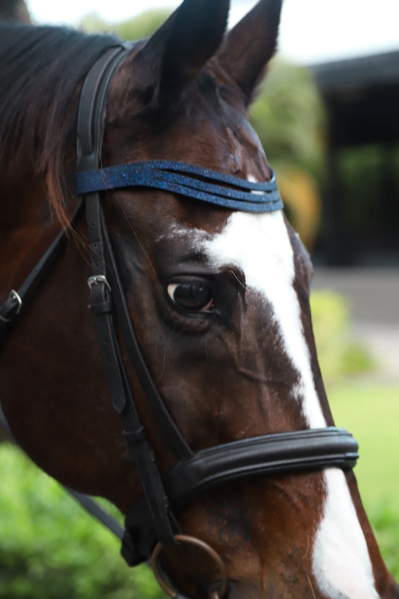 Deep Sapphire Browband - Image 3
