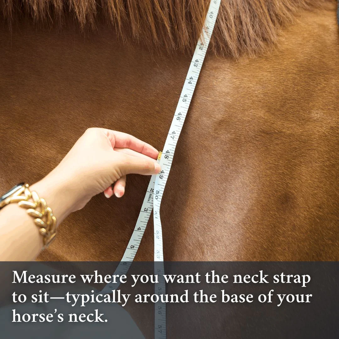 Double Neck Strap - Image 3