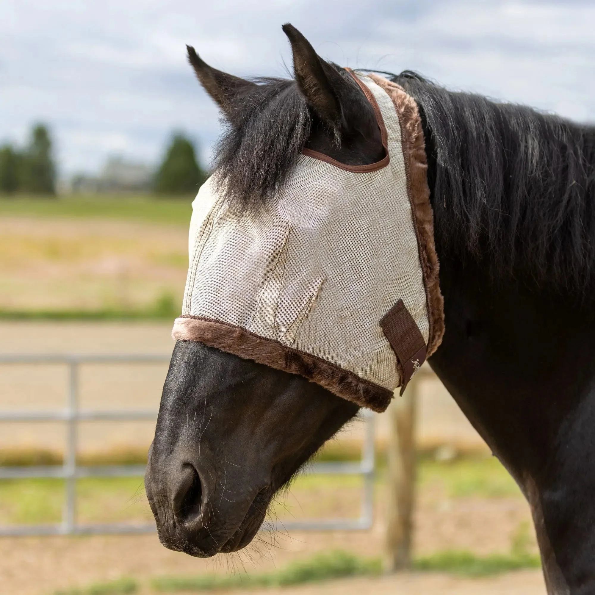 Draft Fly Mask with Fleece Trim - Open Ear Design - 73% UV Blocking - Image 4