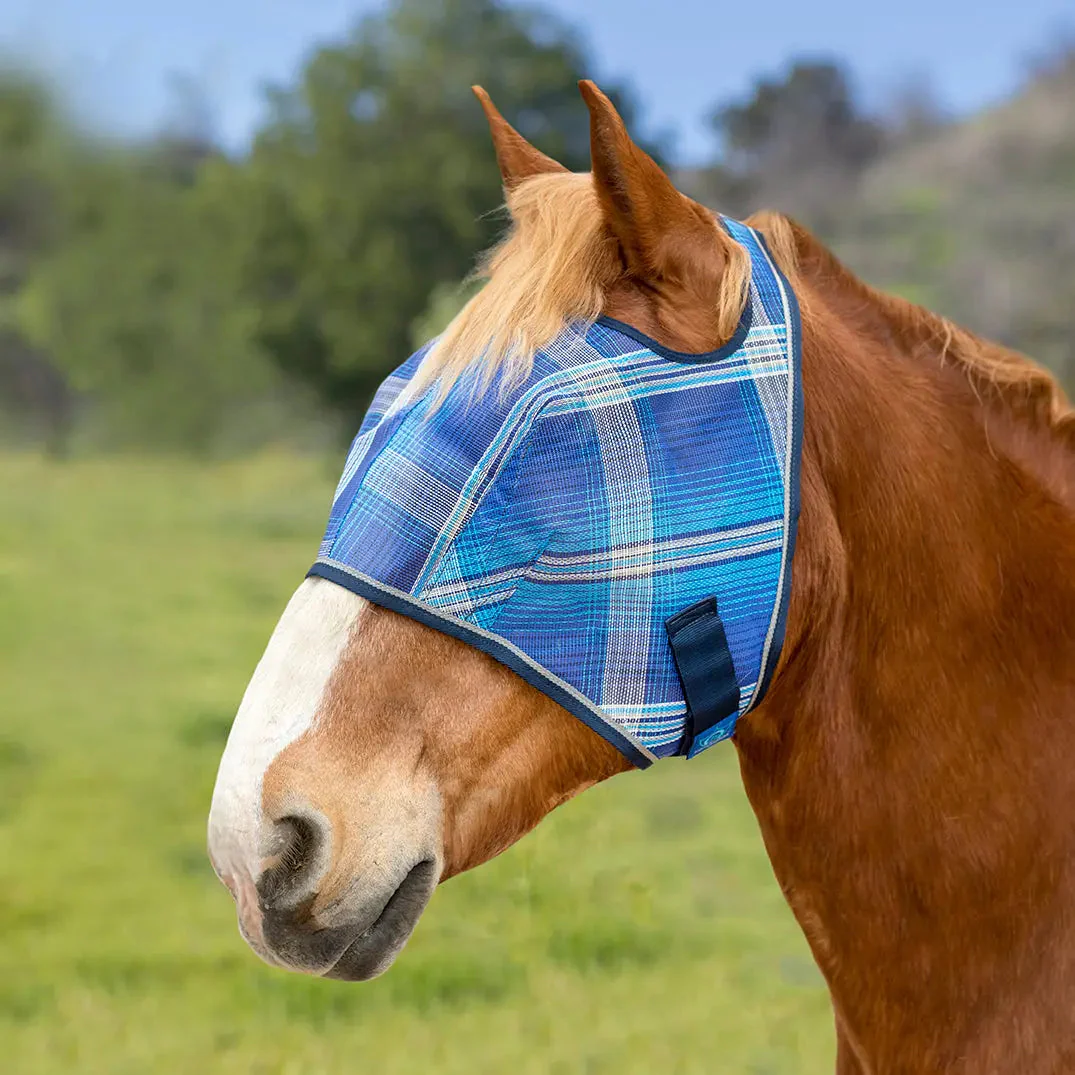 Draft Fly Mask with Web Trim - Open Ear Design - 73% UV Blocking - Image 3