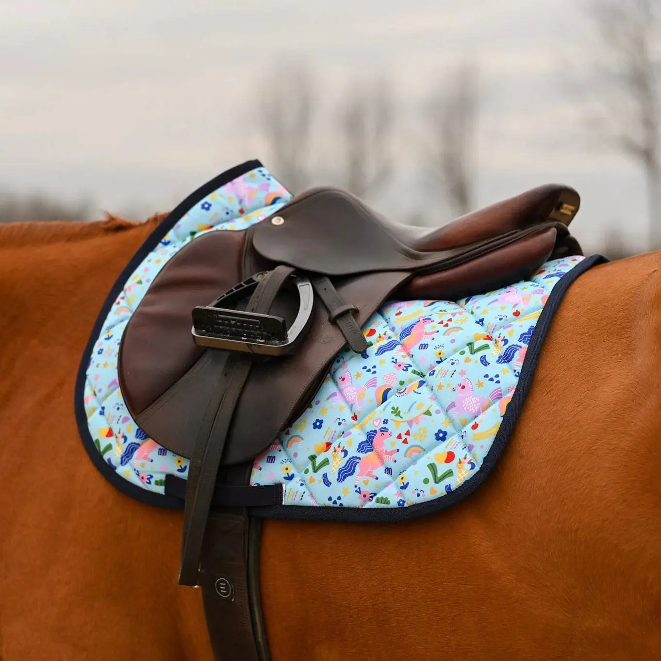 Dreamers & Schemers Saddle Pad - Image 3