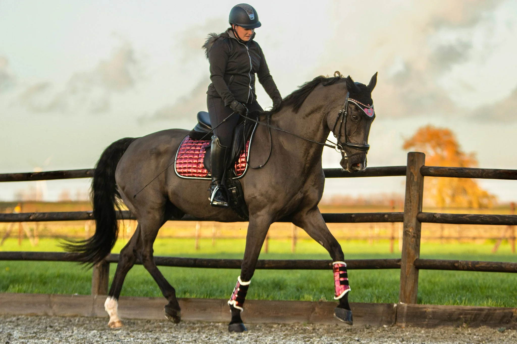 Electric Red Saddle Pad Set - Image 2