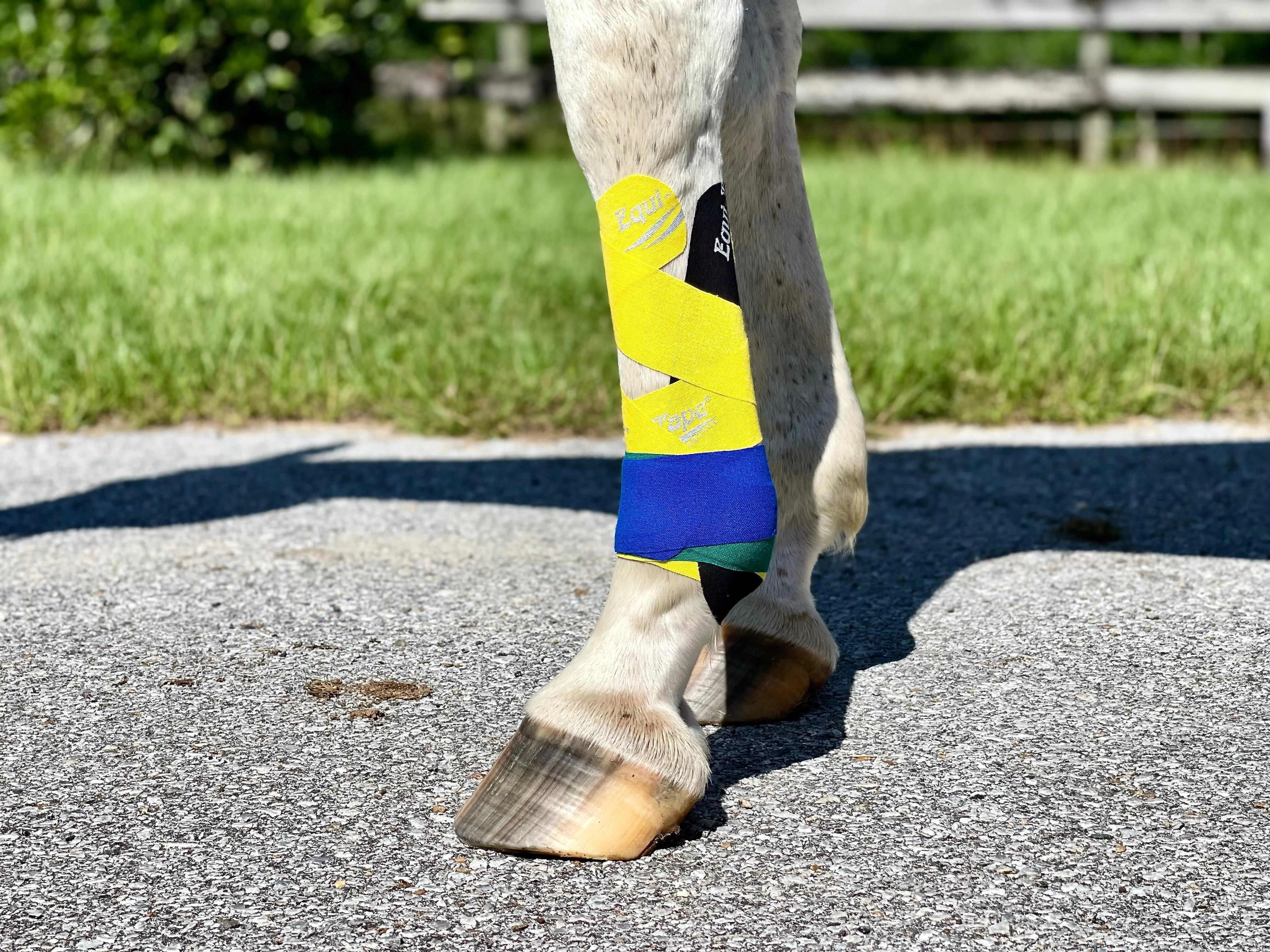 Equi-Tape® Advanced Education Package - Image 6