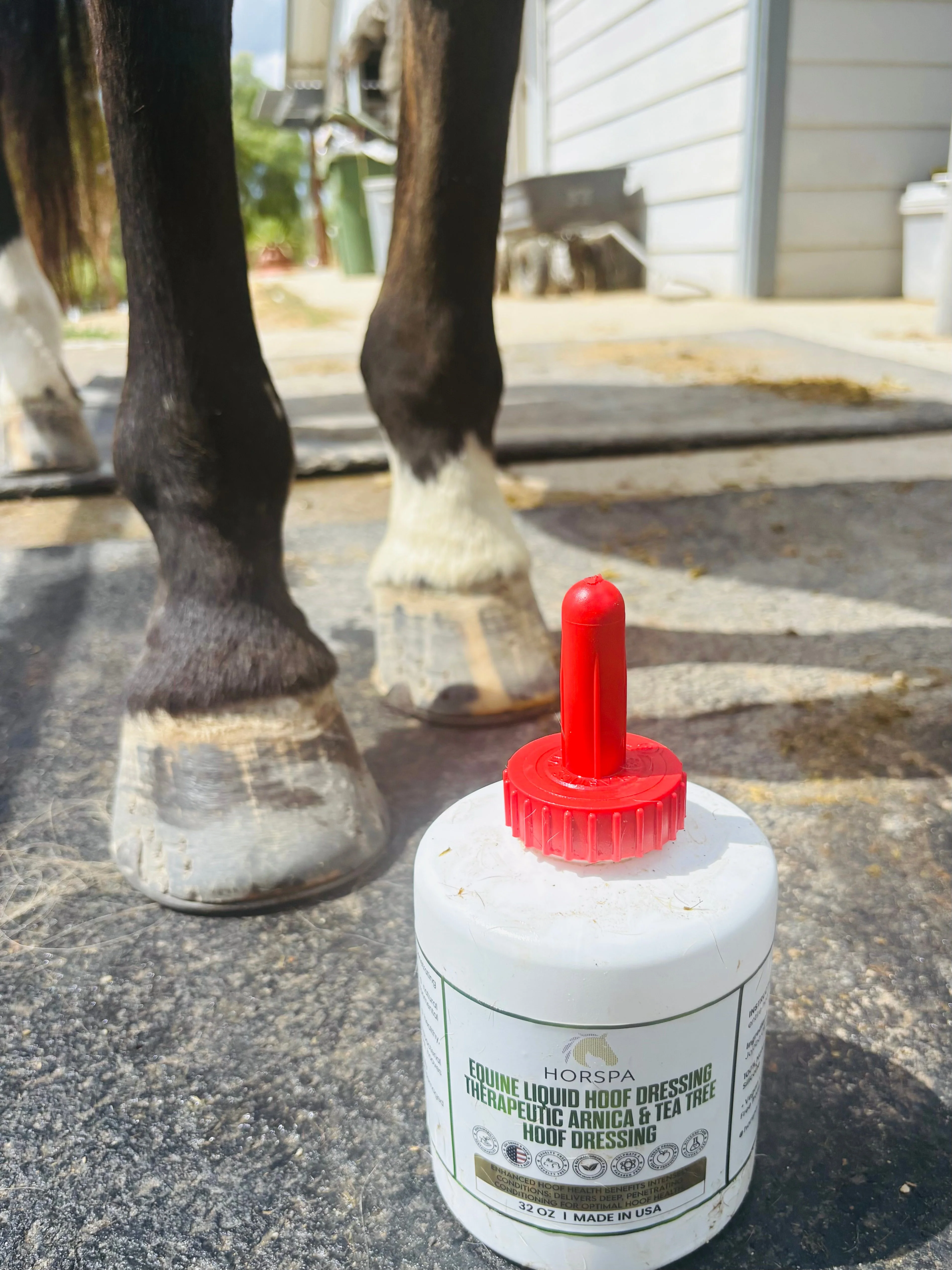 Equine Liquid Hoof Dressing  Arnica & Tea Tree  32 oz - Image 3