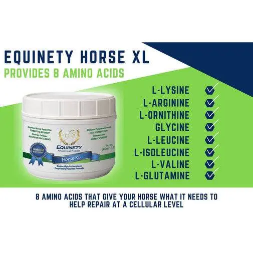 Equinety Horse XL Amino Acid Supplement 600g - Image 5